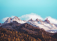 德甲买球-你也干了？马竞远征球迷在诺坎普球场外齐唱歧视穆斯林歌曲